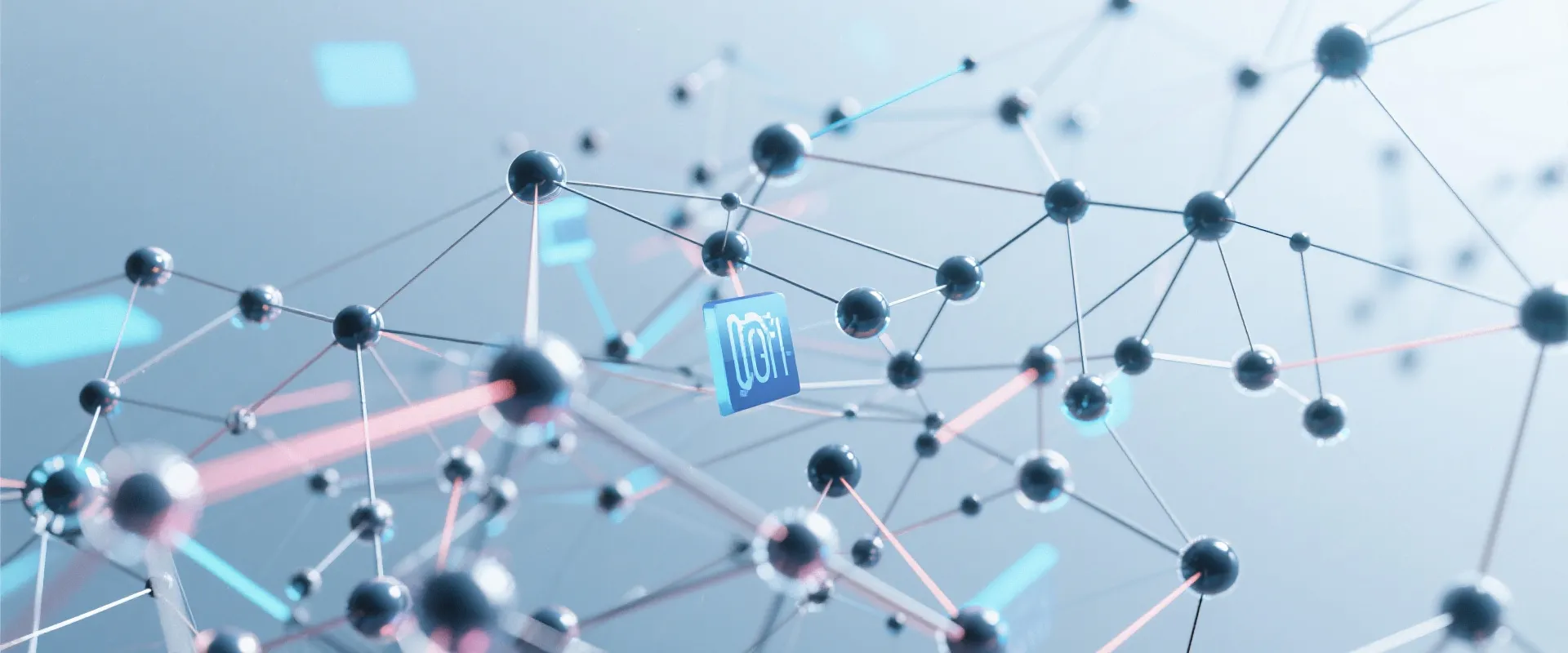 Data Network Background